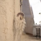 Drømmefanger thumbnail